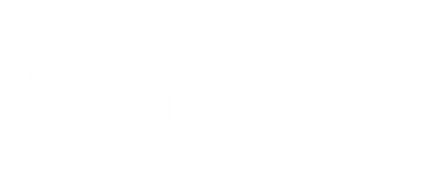 ENS IT Network Hub